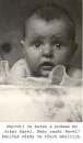 Foto.